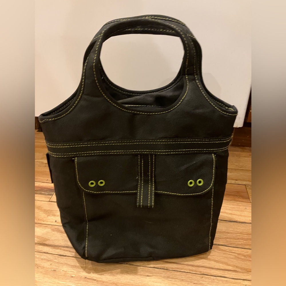 Rachel Ray lunch bag